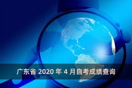 广东省2020年4月自考成绩查询