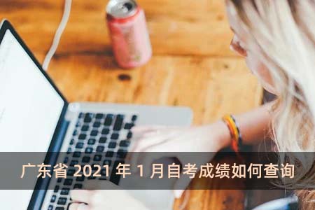 广东省2021年1月自考成绩如何查询