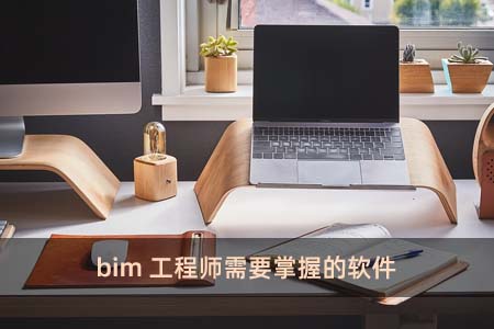 bim工程師需要掌握的軟件