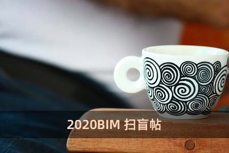 2020BIM掃盲帖