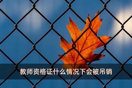 教師資格證什么情況下會(huì)被吊銷