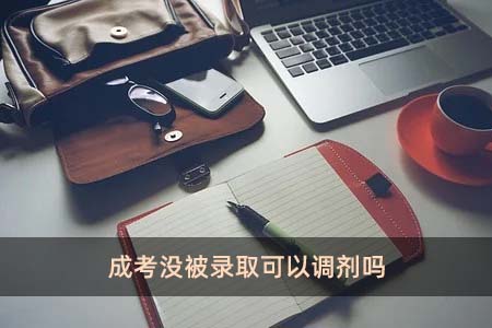 成考沒被錄取可以調劑嗎