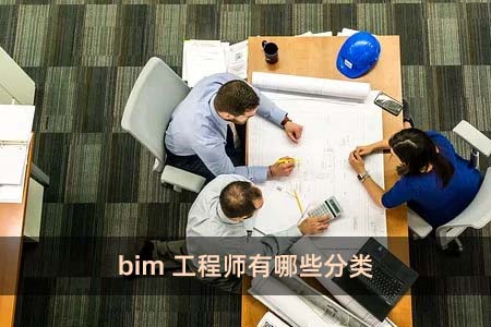 bim工程師有哪些分類