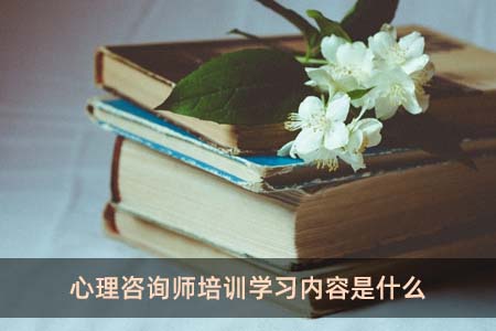 心理咨詢師培訓(xùn)學(xué)習(xí)內(nèi)容是什么