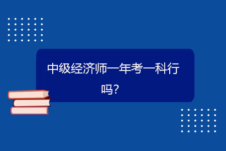 中級經濟師一年考一科行嗎？